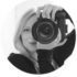ginny-photographer ginny-photographer